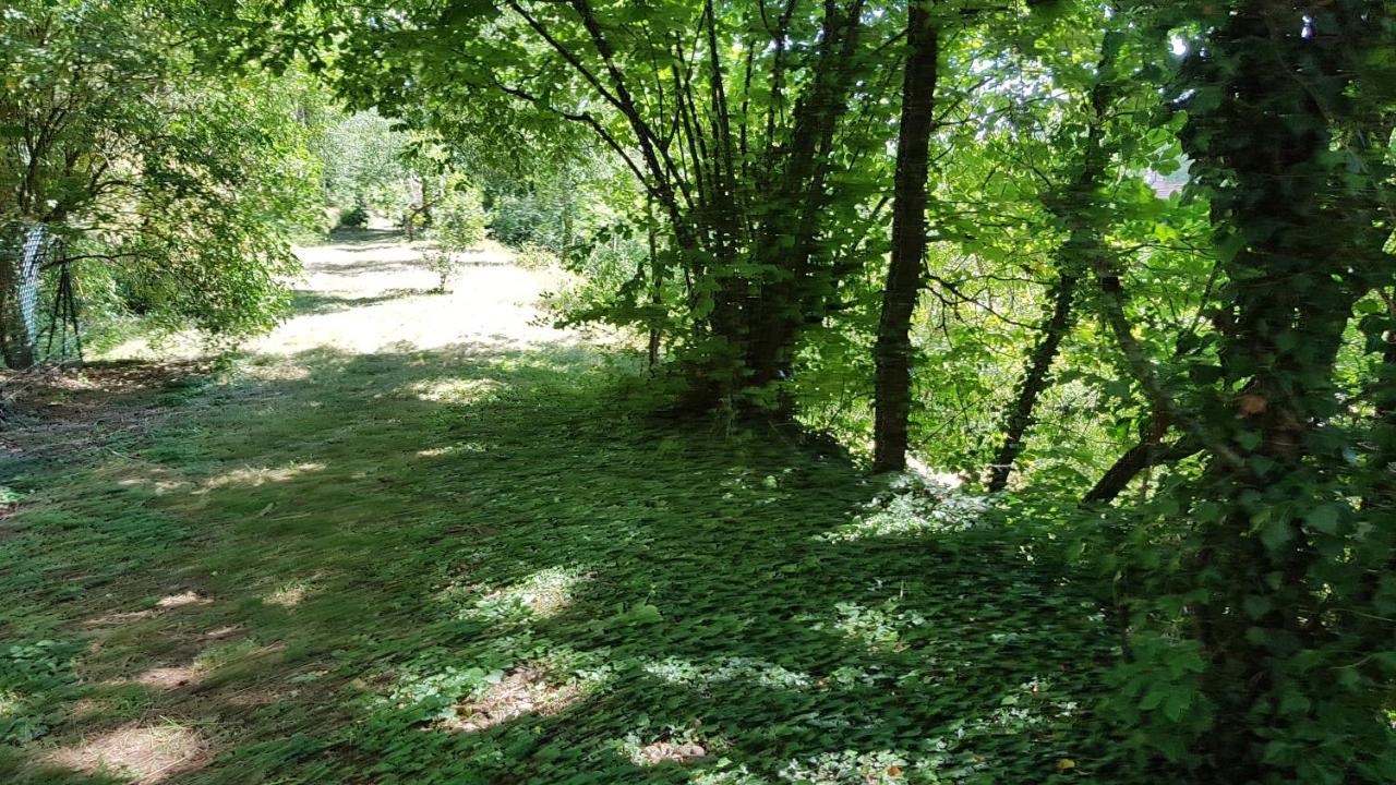 Gite Santenay Les Bains Saint-Sernin-du-Plain Eksteriør billede